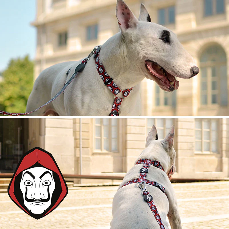 Pettorina ad H - La Casa di Carta - immagine 5