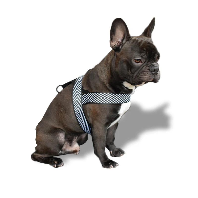 Pettorina bianca e nera - mod. Tiana - immagine 3