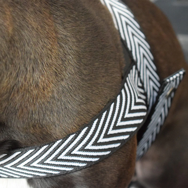 Pettorina bianca e nera - mod. Tiana - immagine 7