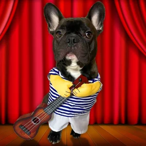 Costume per cani e gatti - chitarra