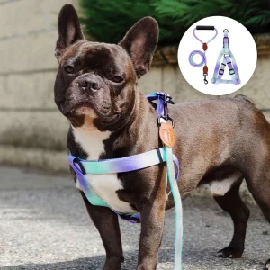 [SET] Pettorina + guinzaglio - nylon - mod. Melody