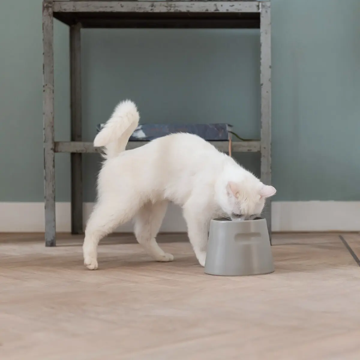 Hoopo Ciotola ergonomica Tower per gatti - immagine 8