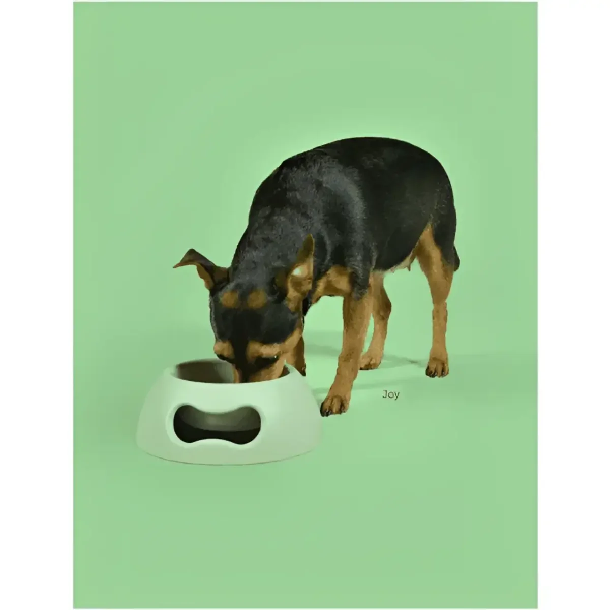 United Pets Ciotola Pappy Azzurra - immagine 8