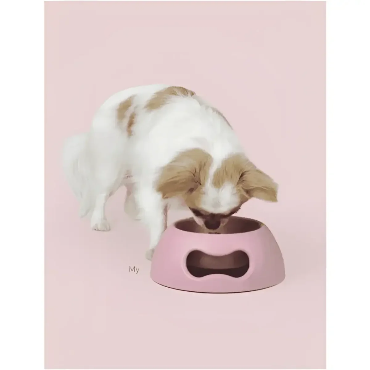 United Pets Ciotola Pappy Azzurra - immagine 9