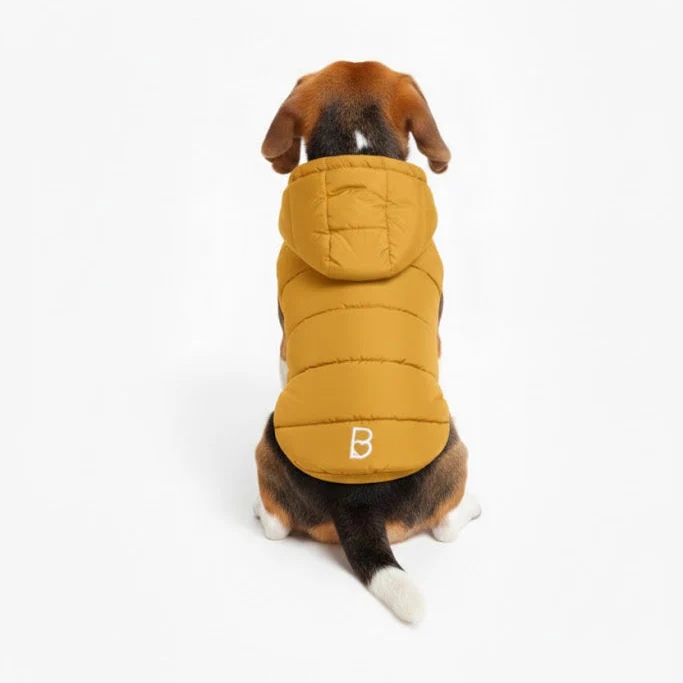 Caldo smanicato con cappuccio - mod.Casius - ecosostenibile - immagine 3