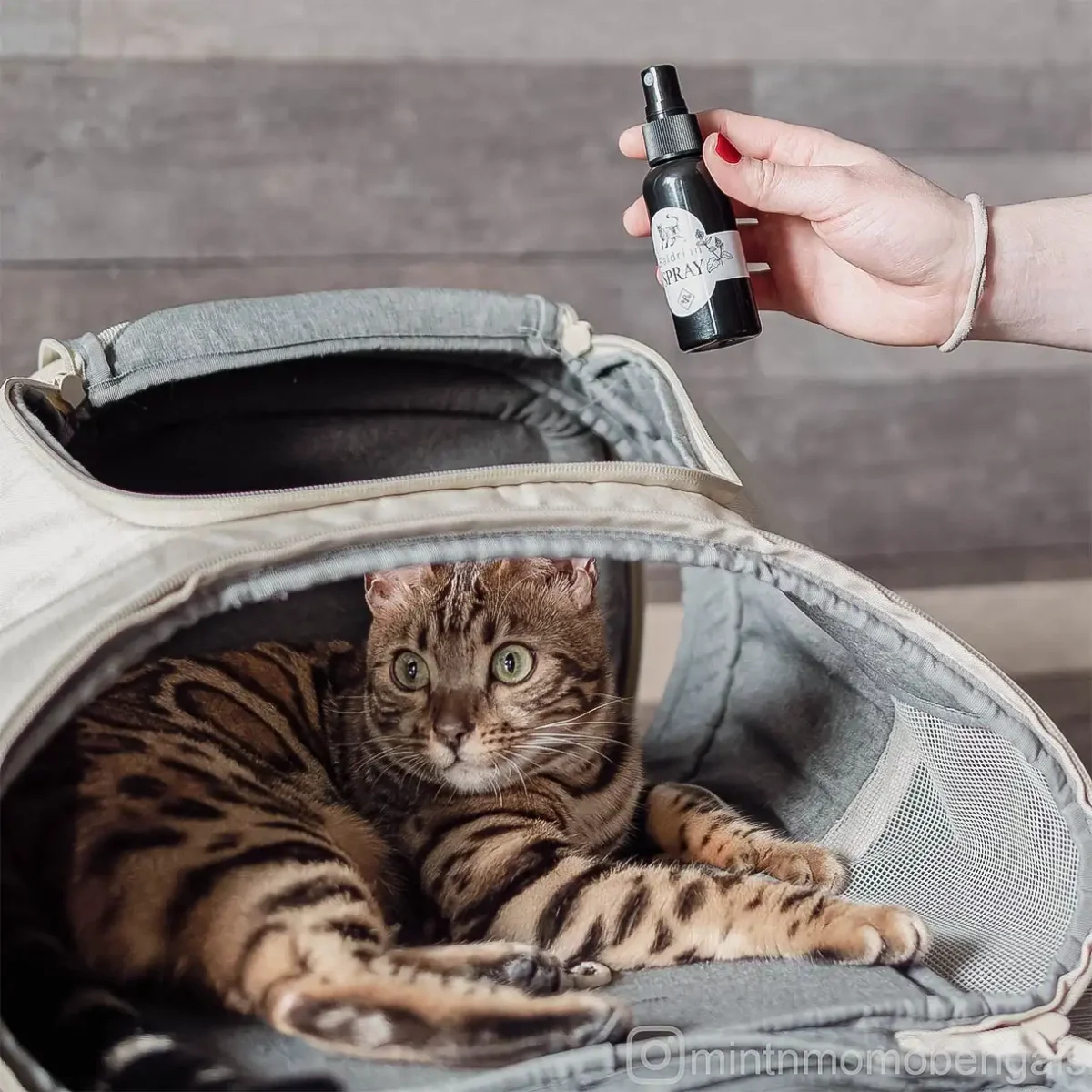 Ne&No®Spray alla Valeriana per Gatti - Set da 2 - Confezione Regalo - immagine 3