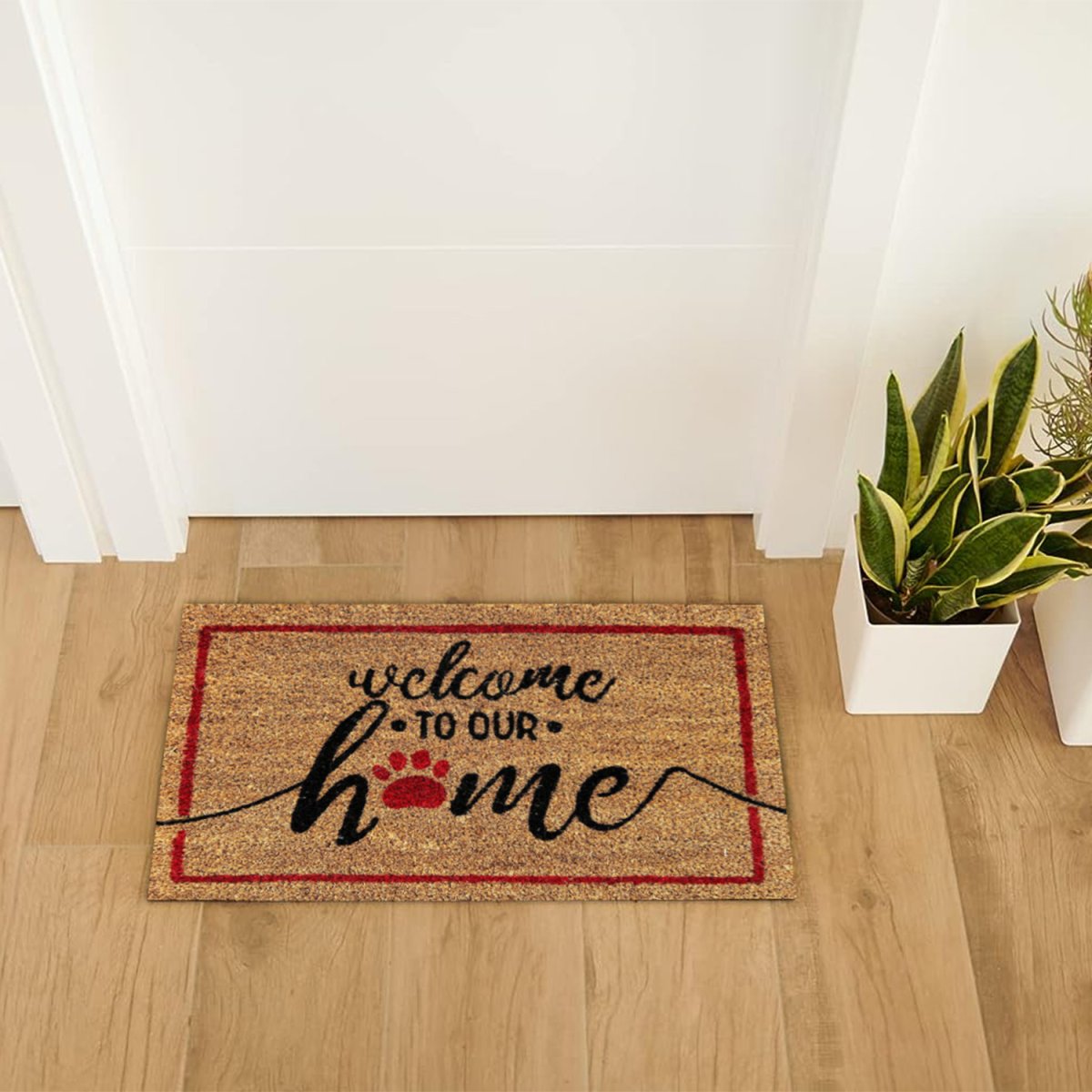 Welcome - immagine 4